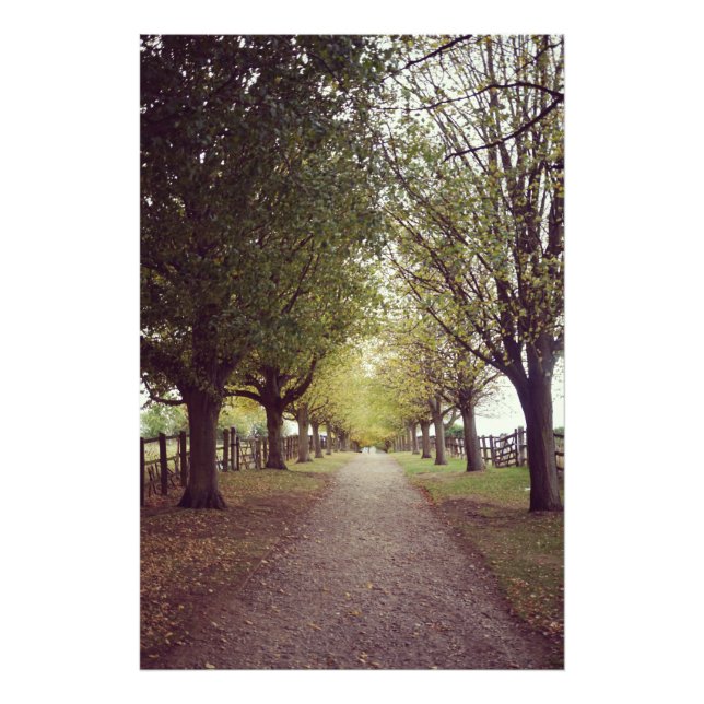Impression Photo Ligne d'arbres de bois (Devant)