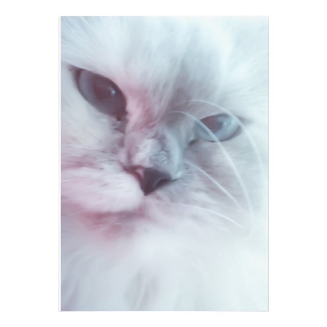 Impression Photo Lilly (Devant)