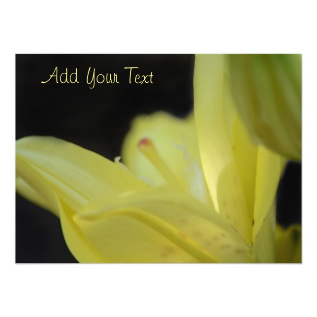 Impression Photo Lily jaune par Shirley Taylor (Devant)