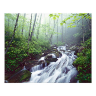 Impression Photo Linn Cove Creek en cascade à travers la brume