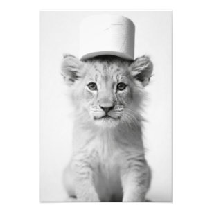 Impression Photo Lionceau drôle portant un chapeau en papier toilet