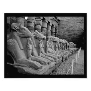 Impression Photo Lions du temple de Karnak