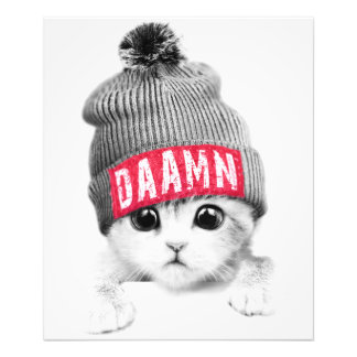 Impression Photo Little Cat