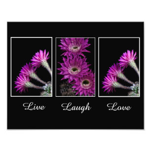 Impression Photo Live, Rire, Love trio de fleurs de Cactus