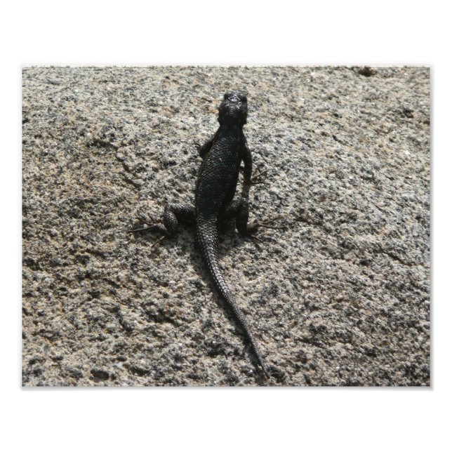 Impression Photo Lizard noir (Devant)