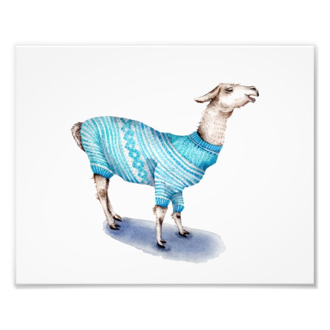 Impression Photo Llama dans le pull bleu (Devant)