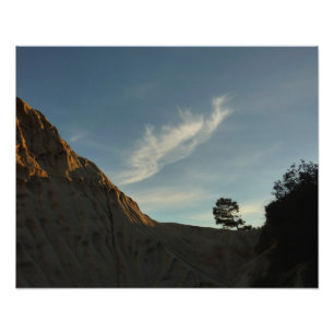 Impression Photo Lone Torrey Pine Californie Sunset Paysage