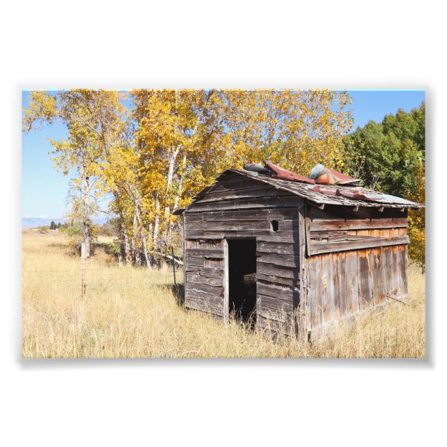 Impression Photo Lonely Little Shed (Devant)