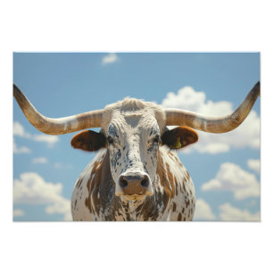 Impression Photo Longhorn Bull