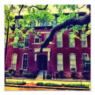 Impression Photo Longue Limite À Savannah