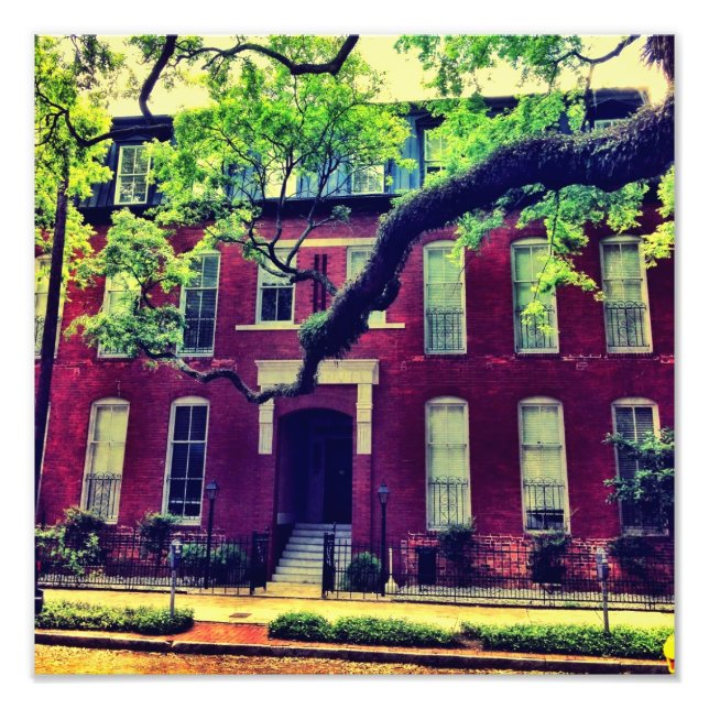 Impression Photo Longue Limite À Savannah (Devant)