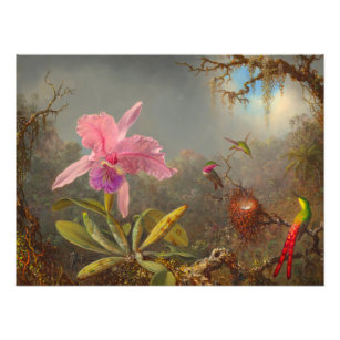 Impression Photo L'orchidée de Cattleya et trois colibris Heade