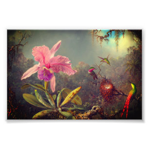 Impression Photo L'orchidée de Cattleya et trois colibris Heade