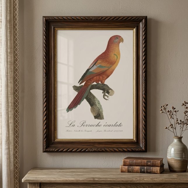 Impression Photo Lori de Bornéo, Trichoglossus borneus (Red Lory or Eos Bornea, Trichoglossus borneus. Photo Print)