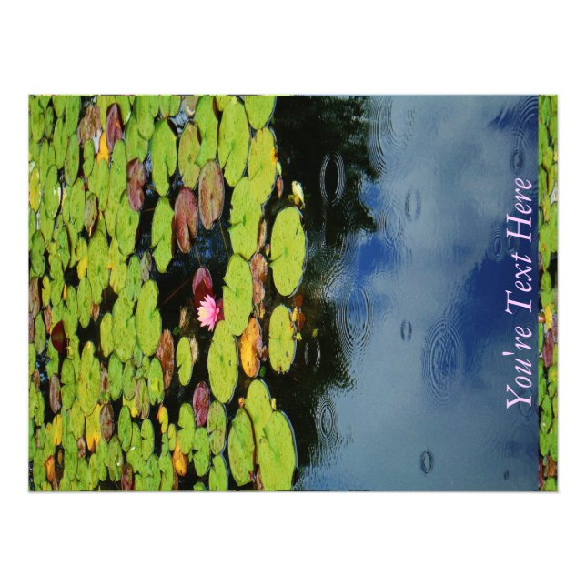 Impression Photo Lotus rose en pluie (Devant)