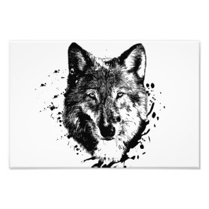 Impression Photo Loup Animal Forêt Sauvage Nature Monde Terre Libre