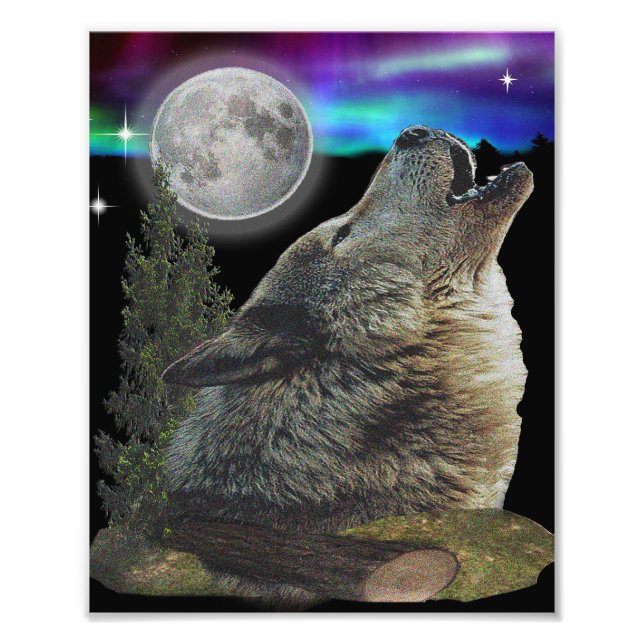 Impression Photo Loup et lune (Devant)