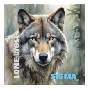 Impression Photo Loup solitaire masculin de Sigma