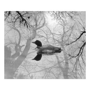 Impression Photo Loyer noir et blanc sur une empreinte de lac