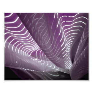 Impression Photo Lumière du soleil sur les Sheers