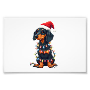 Impression Photo Lumières de Noël Teckel Chapeau de Père Noël Noël