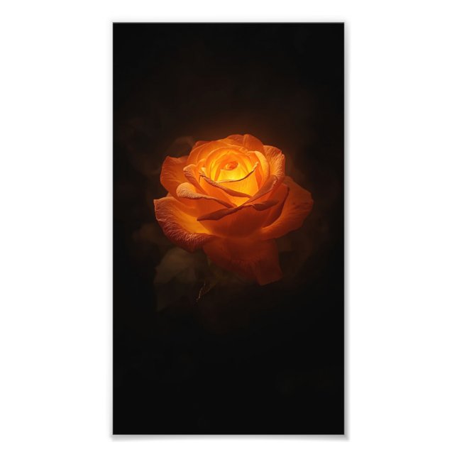 Impression Photo Luminous Orange Rose on Black Velvet – Elegant Flo (Devant)