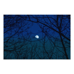 Impression Photo Lune dans Ombre Indigo Sky Tree Branches Silhouett