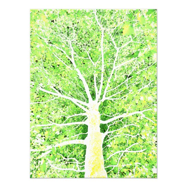 Impression Photo Lux Viridis Flavum 8 (Devant)