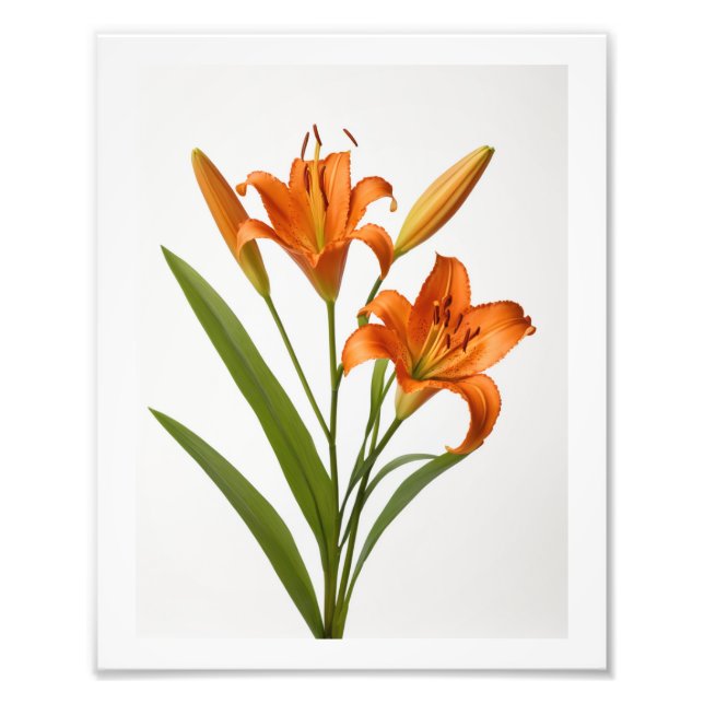 Impression Photo Lys orange fleurissant sur l'affiche arrière - pla (Devant)