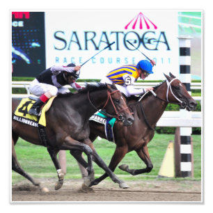 Impression Photo Ma Miss Aurelia - L'Adirondack