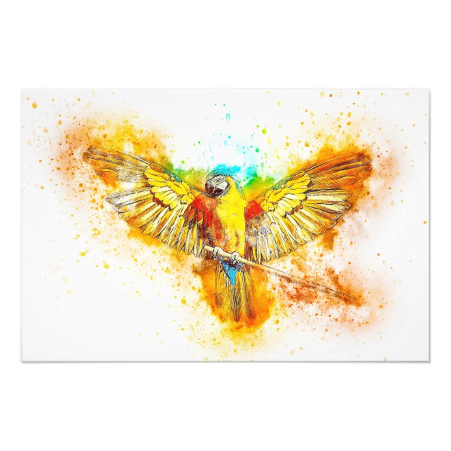 Impression Photo Macaw (Devant)