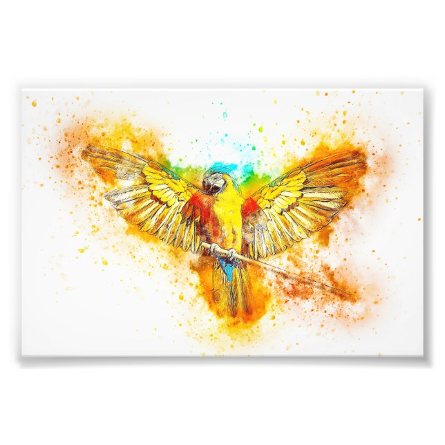 Impression Photo Macaw (Devant)
