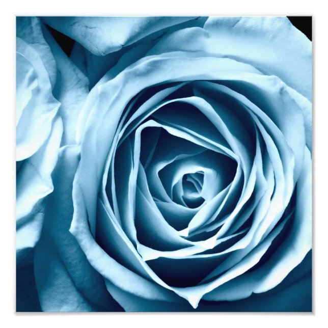 Impression Photo macro fermer le rose photographique (Devant)