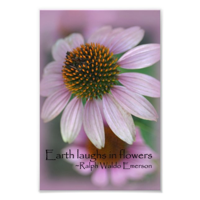 Impression Photo Macro-photographie couleur rose imprimer art natur (Devant)