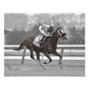 Impression photo Magnétique