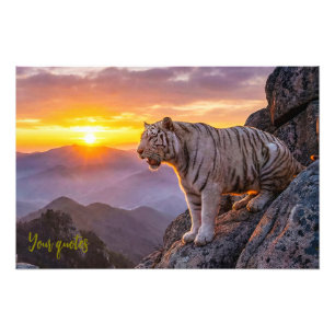 Impression Photo Magnifique coucher de soleil avec tigre blanc