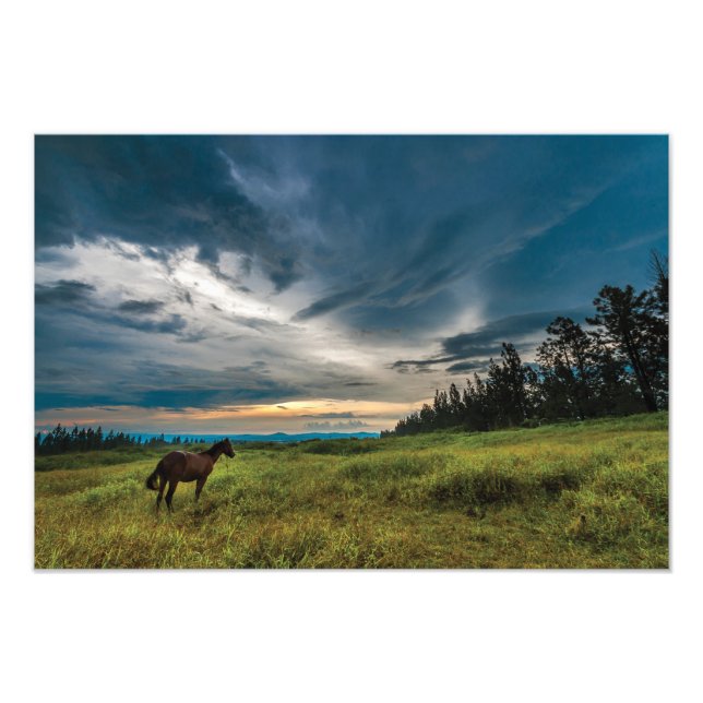 Impression Photo Magnifique imprimé cheval et paysage (Devant)