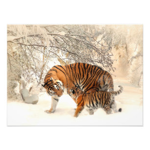 Impression Photo Magnifique tigre et bébé dans la neige