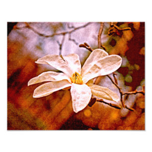 Impression Photo Magnolia