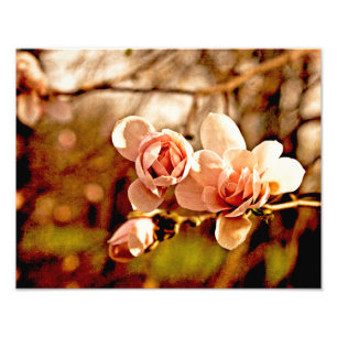 Impression Photo Magnolia Mood en rose