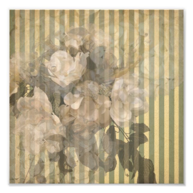 Impression Photo Magnolias sur papier vintage rayé (Devant)