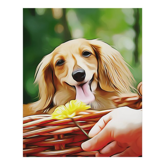 Impression Photo Main Doxie Avec Une Fleur À Un Dachshund (Devant)