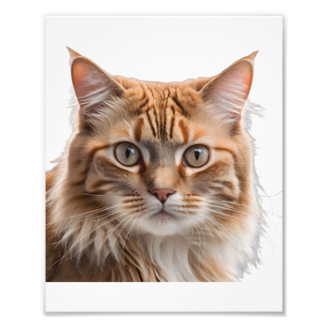 Impression Photo Majestic Orange Tabby Cat Portrait (Devant)