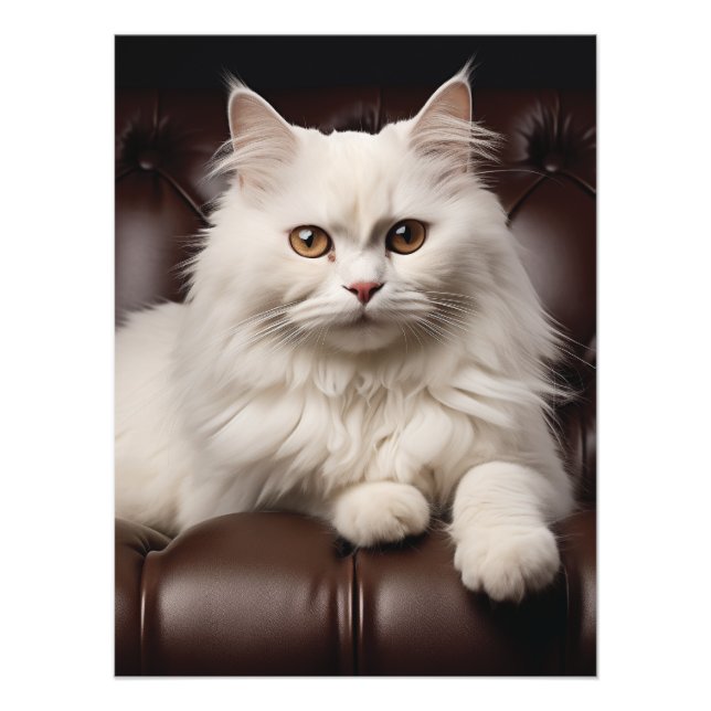 Impression Photo Majestic white cat (Devant)