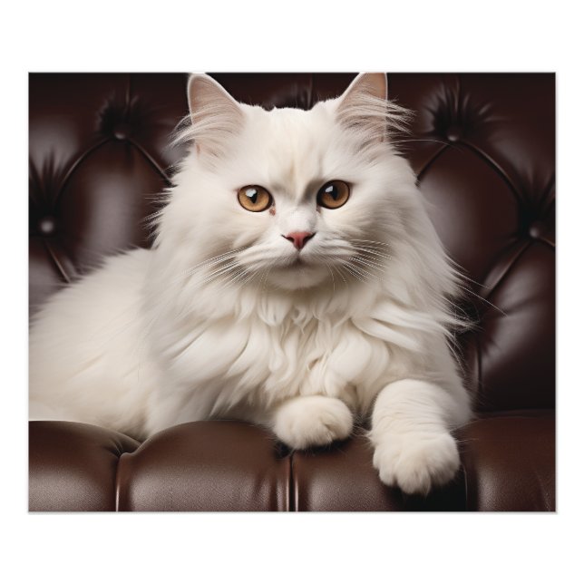Impression Photo Majestic white cat (Devant)