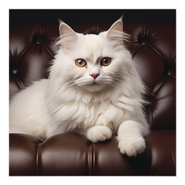 Impression Photo Majestic white cat (Devant)