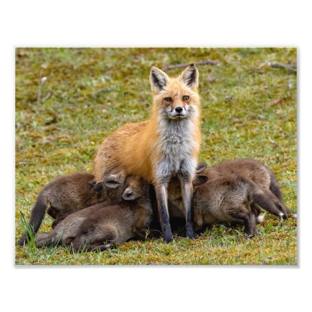 Impression Photo Maman Propose Un Repas Familial (Devant)