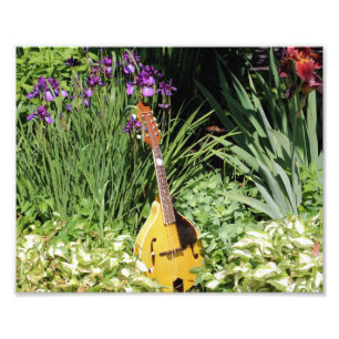Impression Photo Mandolin Et Iris Garden Fleur 10x8