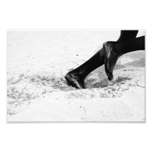 Impression Photo manque de sable