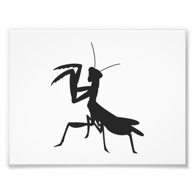 Impression Photo Mantis in silhouette - choose background color (Devant)